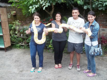 6EyQ5A-bTqOBCxmRs-IrsQDxkLI_MtPtirsbeh12bDqYBTNldDOYvf_37g9_U9D_WHbgBmTvCcEyHS6sfk1mOc1m6J-dDoXcKSFs2Rv4J3STrPRvcLGtzDl5-7UTKIiNcOyCeOc